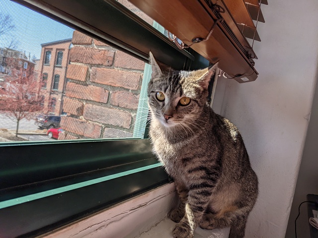 PXL 20210330 155241435