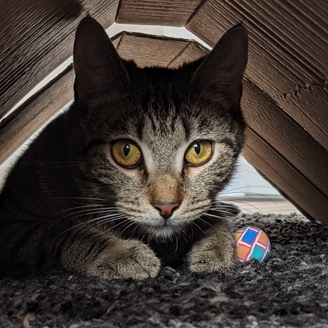 PXL 20210401 160610376~2