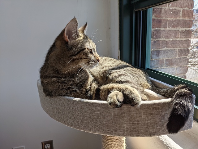 PXL 20210406 153442458