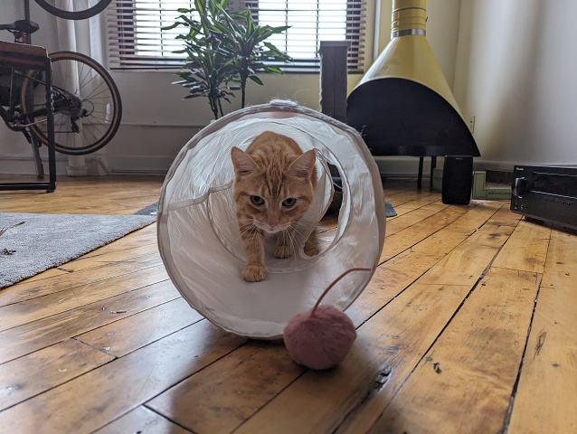 PXL 20230929 184036296