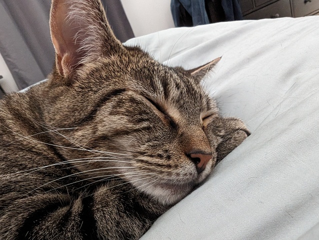 PXL 20240219 153140707