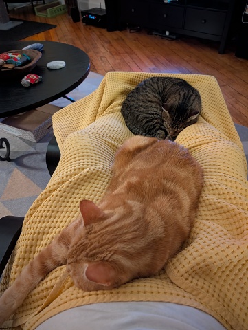 PXL 20250104 234126854