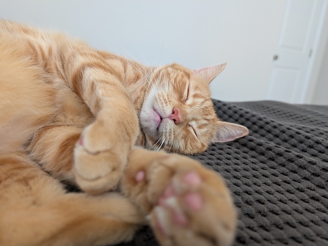 PXL 20250703 123853737