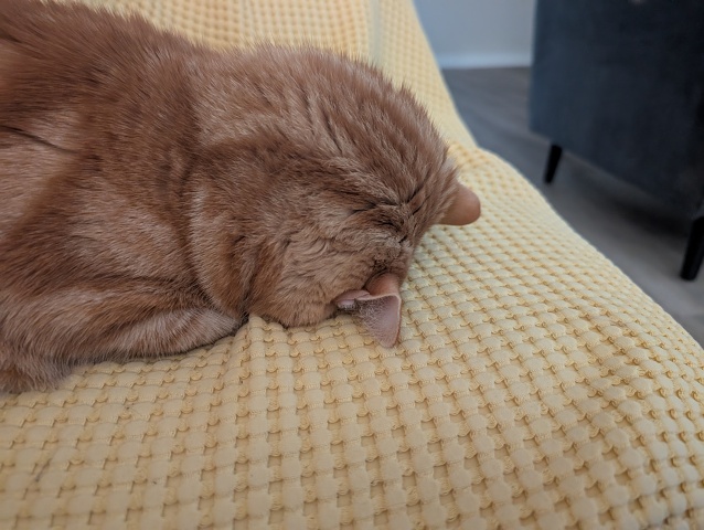 PXL 20250723 233802546