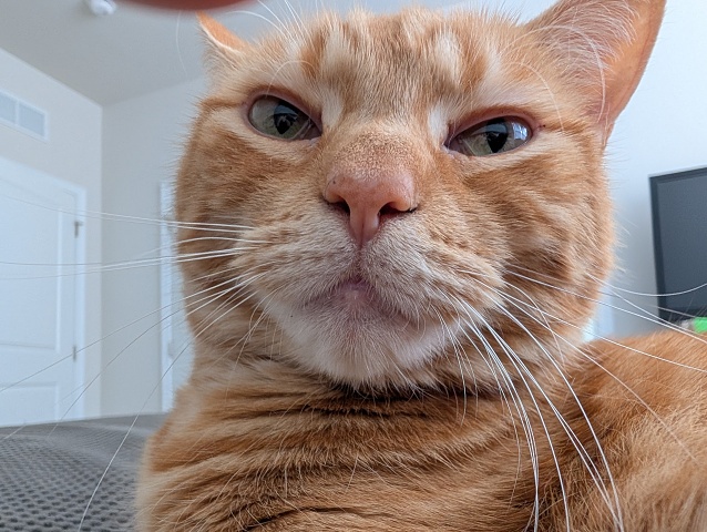 PXL 20250830 135347454