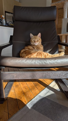 WhatsApp Image 2024-12-22 At 12.46.21 1cbd4b75